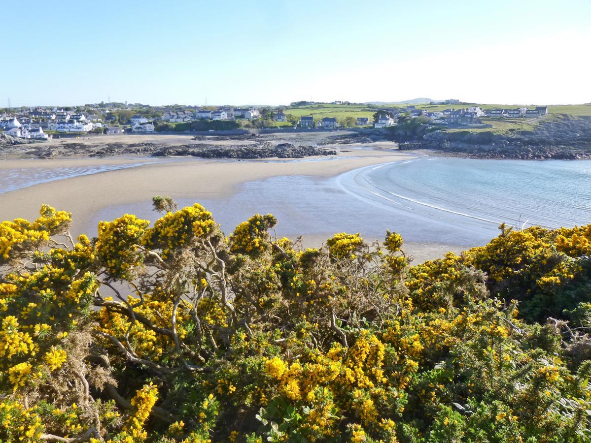 Angorfa Villa Cemaes Bay Eksteriør bilde